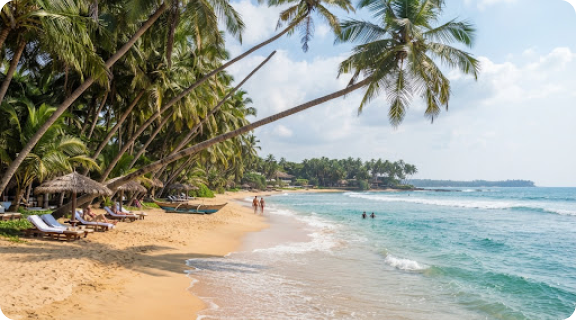 Guests on a palm-fringed beach